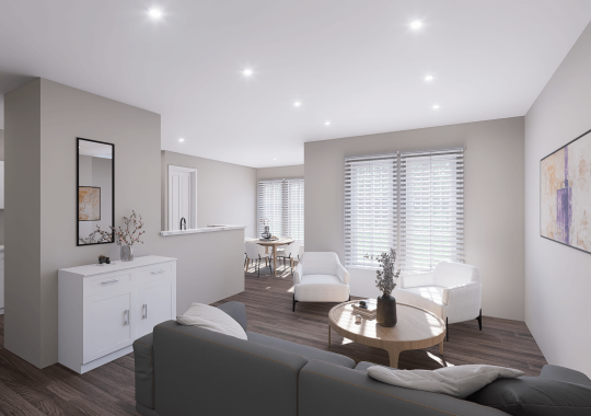 Remodeling and Visualization Basement